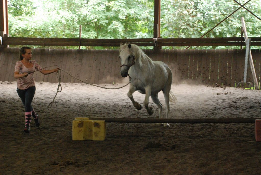 Equifeel - Domaine du Plec