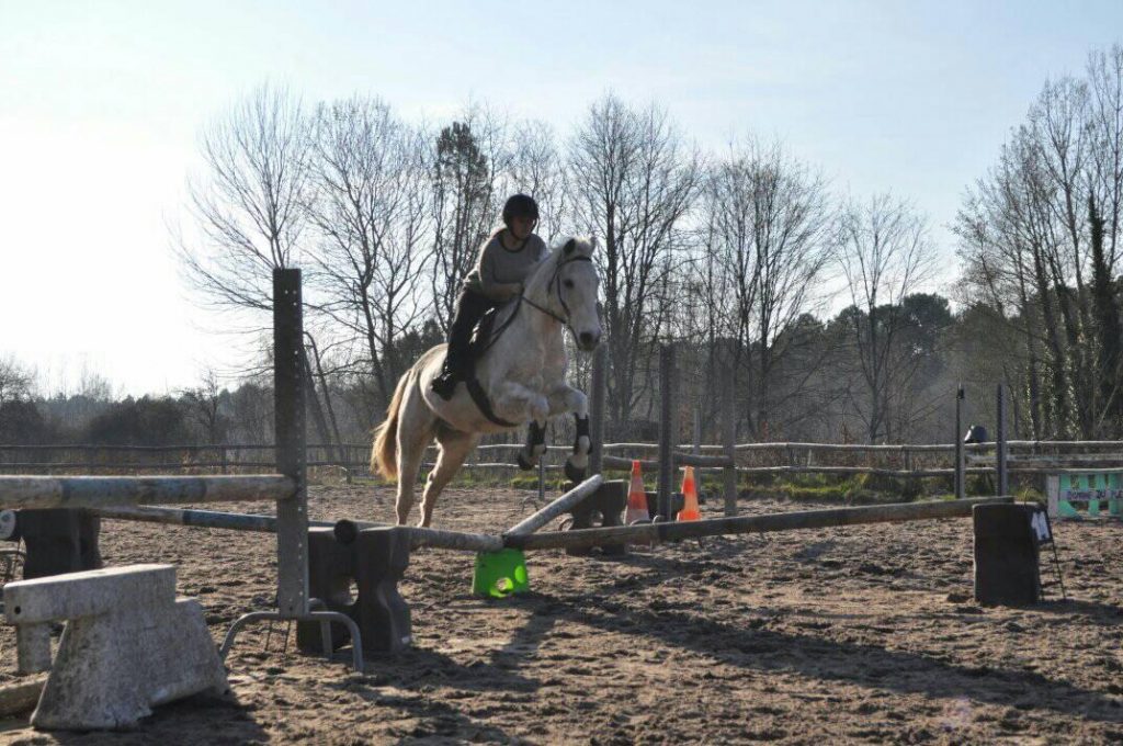 C.S.O - Domaine du Plec
