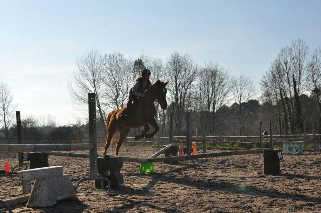 C.S.O - Domaine du Plec