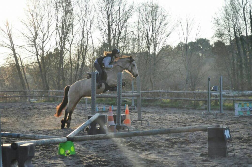 C.S.O - Domaine du Plec