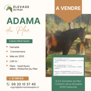 Adama du plec